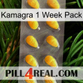 Kamagra 1 Week Pack cialis1